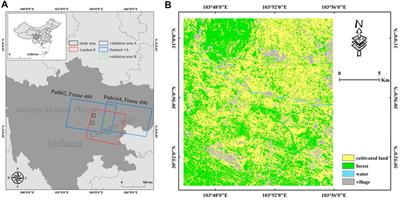 Quantitative estimation of sentinel-1A interferometric decorrelation using vegetation index